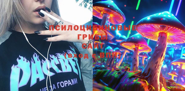 ГАЛЛЮЦИНОГЕННЫЕ ГРИБЫ Абинск