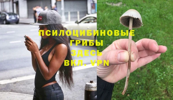 Альфа ПВП Абаза