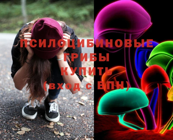 ГАЛЛЮЦИНОГЕННЫЕ ГРИБЫ Абинск